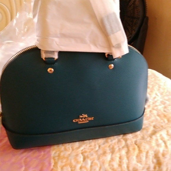 Coach - Picture 1 of 1